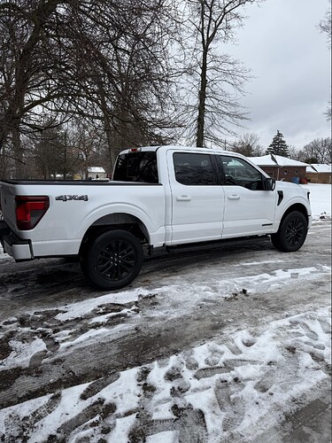 2024 F-150 parking sensor problems